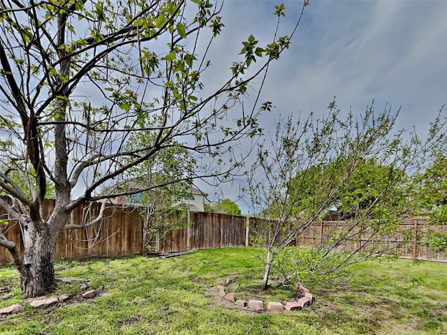10805 Winged Foot Dr, Rowlett, TX 75089 - view of yard