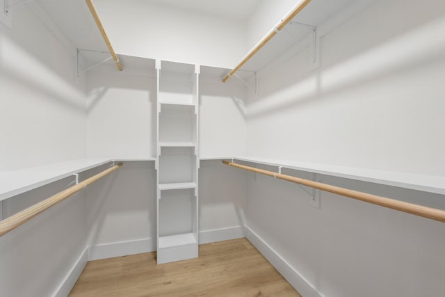 spacious closet featuring light hardwood / wood-style flooring