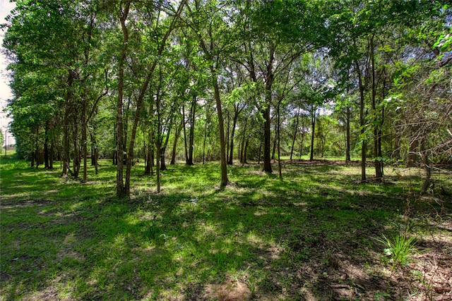 TBD 25th, Hempstead TX, 77445 land for sale