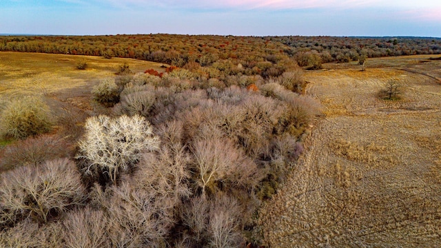 Listing photo 2 for TBD Catholic Cemetery Rd, Montague TX 76251