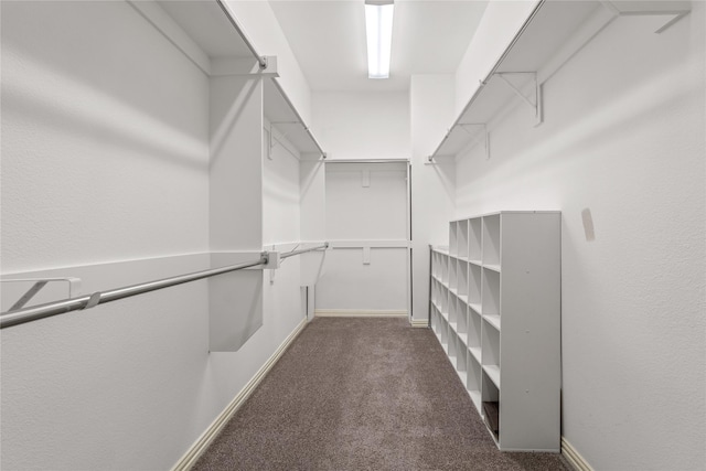 spacious closet with dark colored carpet