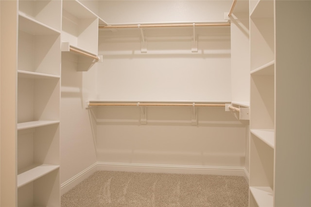 walk in closet with carpet floors