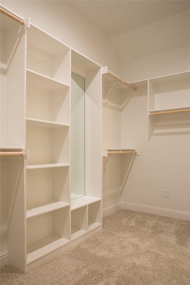 walk in closet featuring carpet