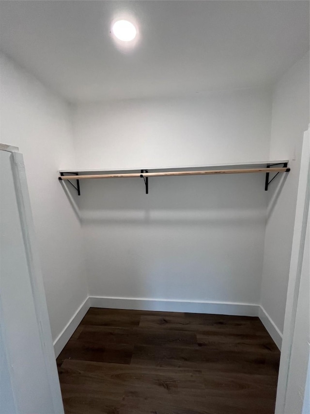 spacious closet featuring dark wood-type flooring