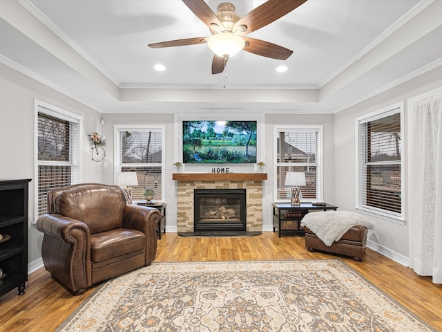 living room featuring a fireplace, a raised ceiling, and light hardwood / wood-style floors