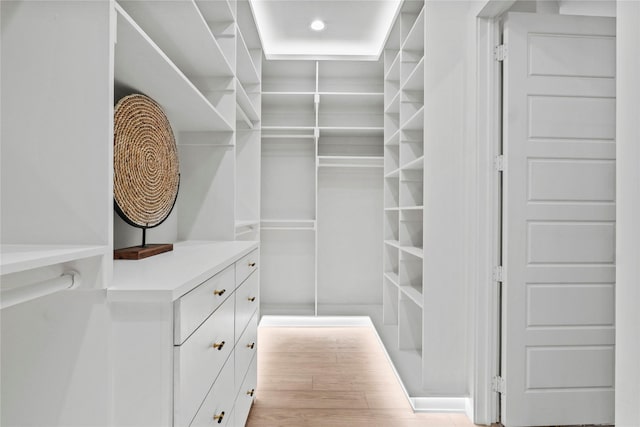 walk in closet with light hardwood / wood-style flooring