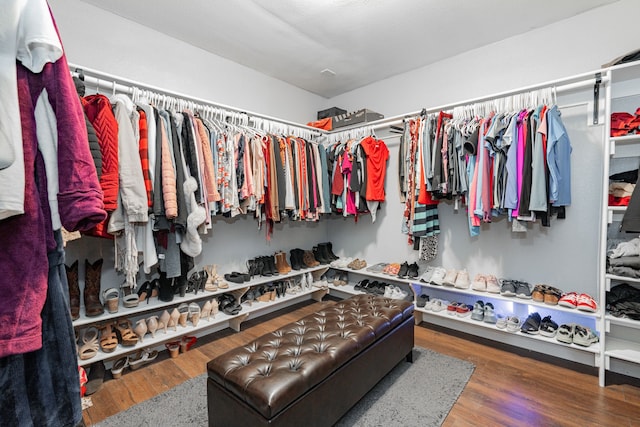walk in closet with wood-type flooring