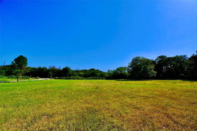 view of yard with a rural view