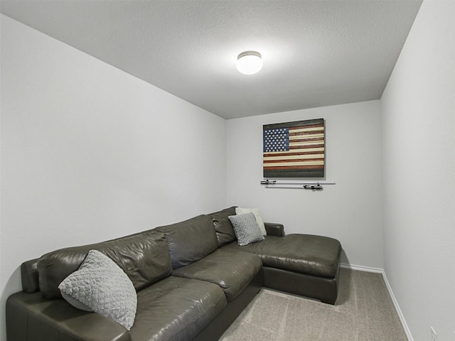 carpeted living room with a textured ceiling