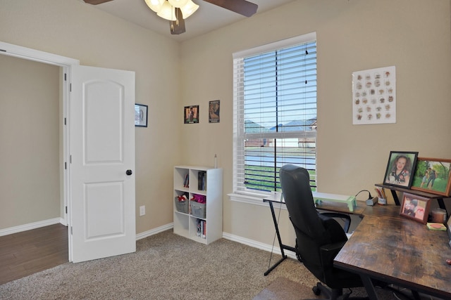 carpeted office featuring ceiling fan