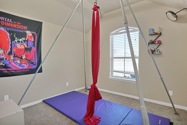 exercise area with carpet floors