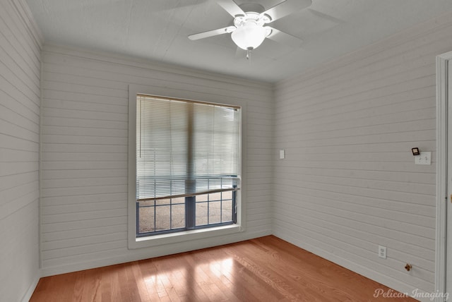 empty room featuring ceiling fan and light hardwood / wood-style flooring