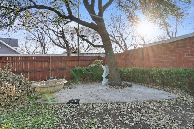 view of yard featuring a patio area