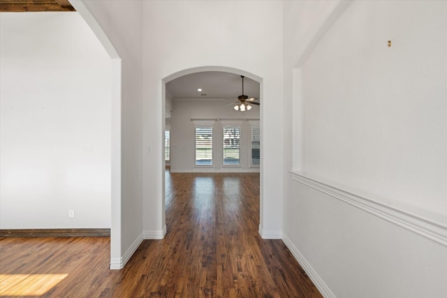 hallway featuring dark hardwood / wood-style flooring