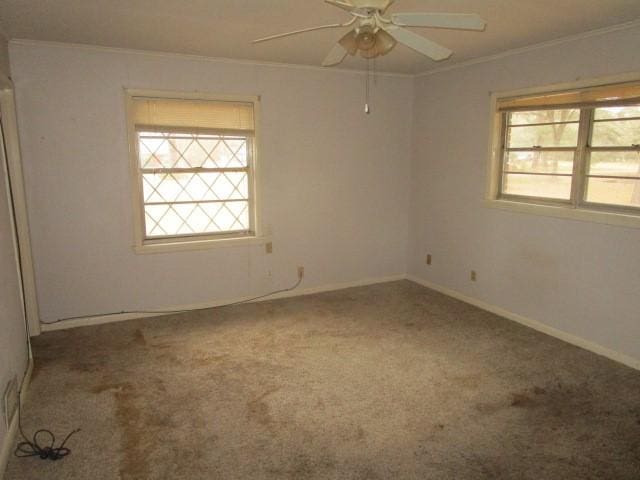 3359 Green Terrace Rd, Shreveport, LA 71118 - spare room featuring ceiling fan, ornamental molding, and carpet flooring