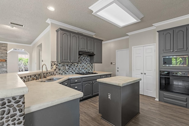 kitchen with oven, a sink, stainless steel microwave, visible vents, and dark wood-style floors