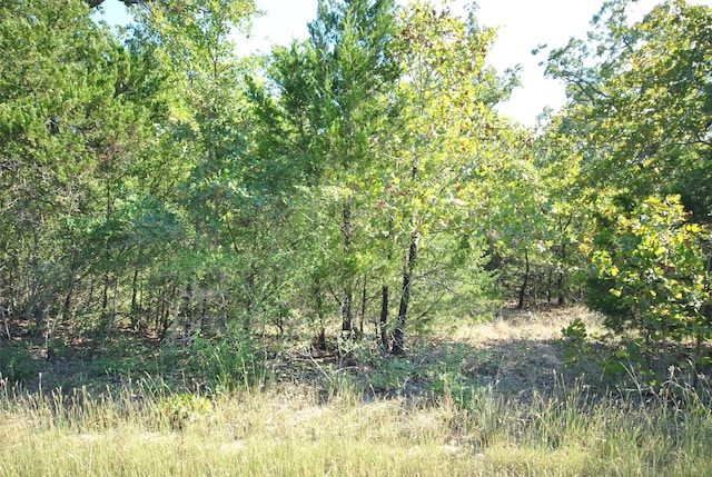 LOT76 Lcr 910th Dr, Jewett TX, 75846 land for sale