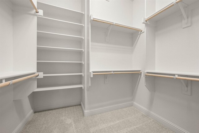 spacious closet featuring light carpet