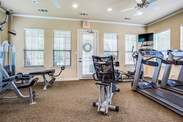 workout area with ornamental molding, ceiling fan, and carpet