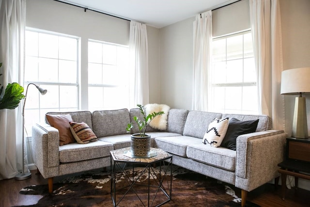 living room featuring hardwood / wood-style flooring and plenty of natural light