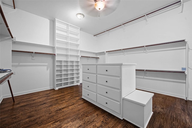 105 Zephyr Ct, Aurora, TX 76078 - spacious closet featuring ceiling fan and wood finished floors