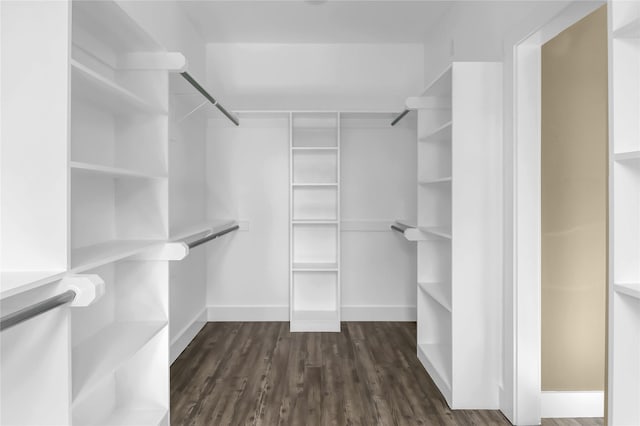 walk in closet featuring dark hardwood / wood-style floors