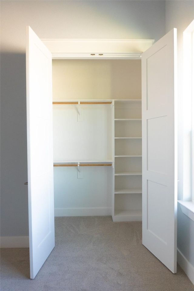 view of closet