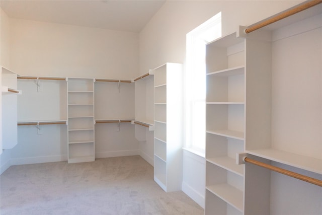 walk in closet featuring light colored carpet