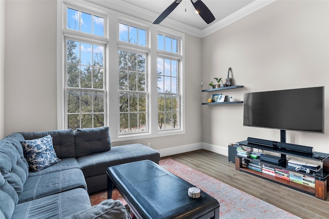 living room with hardwood / wood-style flooring, ceiling fan, and ornamental molding