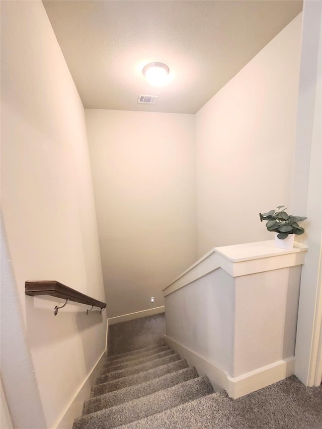 stairway featuring carpet floors