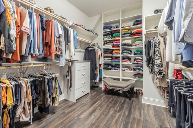 spacious closet with dark hardwood / wood-style flooring