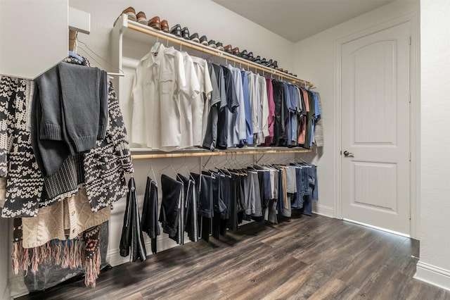 spacious closet with dark hardwood / wood-style flooring