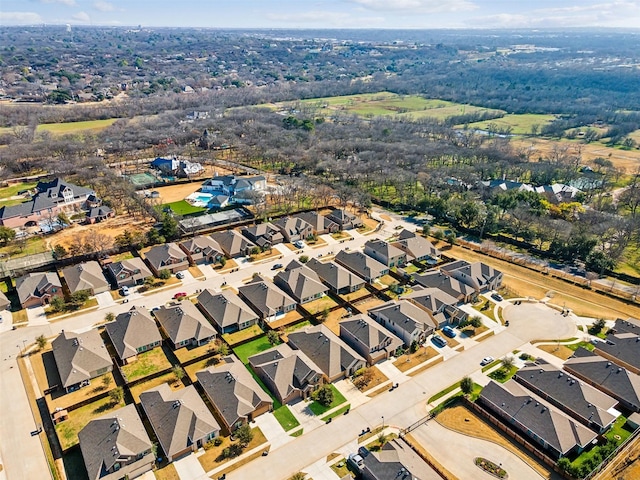 bird's eye view