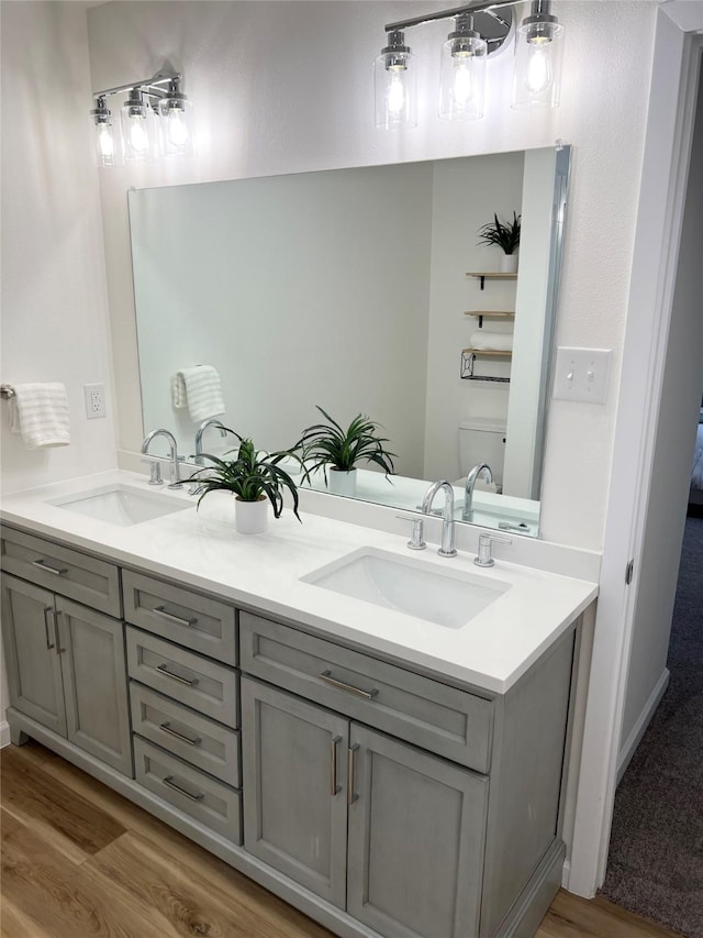 bathroom with vanity and wood-type flooring