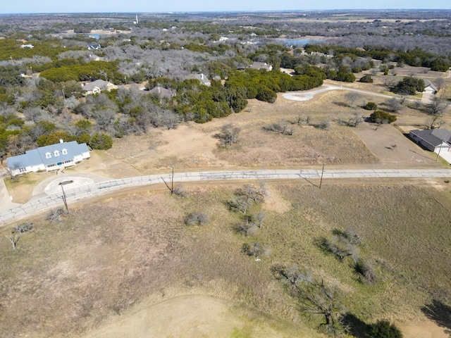 Listing photo 3 for 19038 White Bluff Dr, Whitney TX 76692