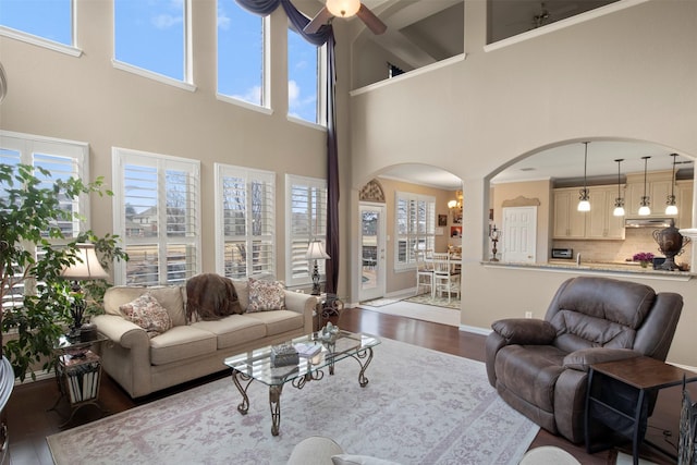 living area featuring baseboards, arched walkways, a healthy amount of sunlight, and wood finished floors