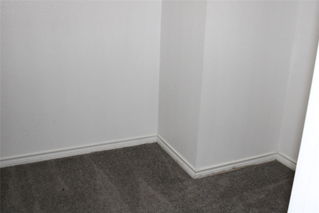 unfurnished room featuring carpet