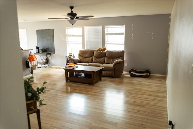 living room featuring ceiling fan and light wood-type flooring