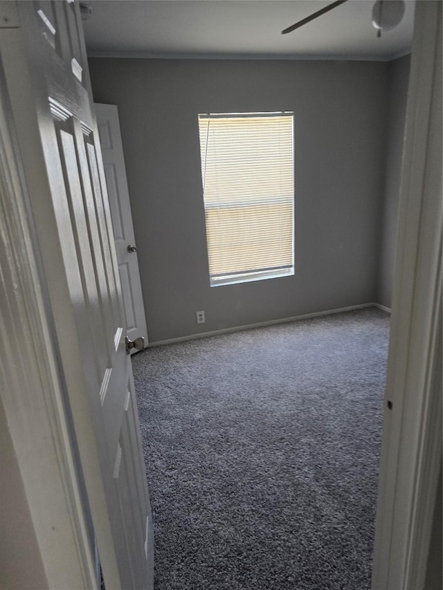 carpeted empty room featuring ceiling fan and ornamental molding