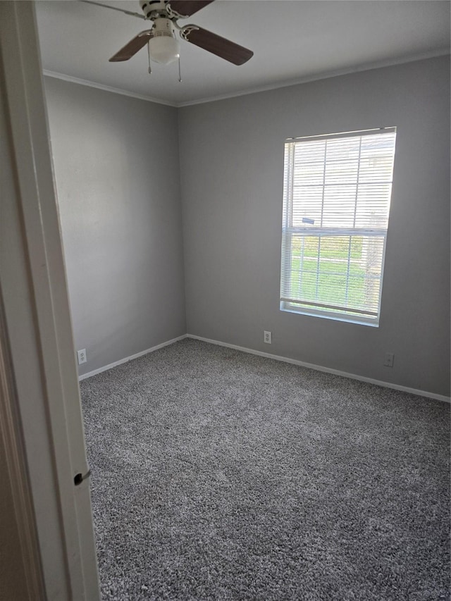 empty room featuring carpet floors, ornamental molding, and ceiling fan