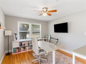 office featuring hardwood / wood-style floors and ceiling fan