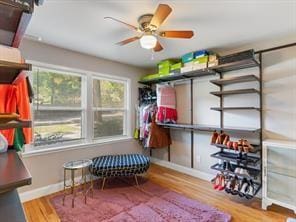 storage room featuring ceiling fan