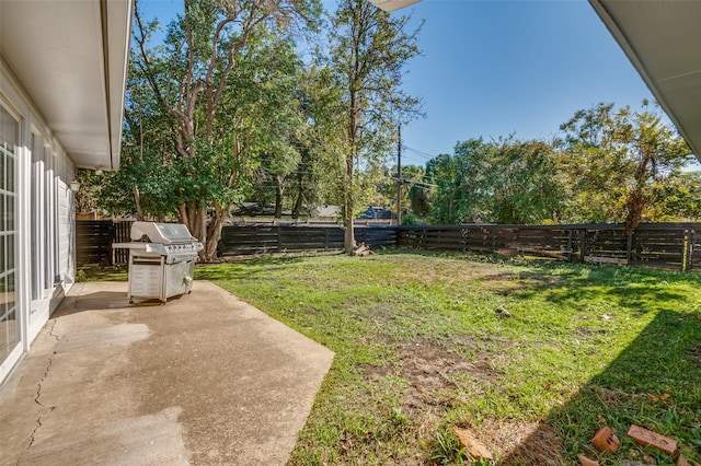 view of yard featuring a patio area