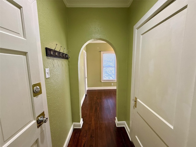 corridor featuring dark wood-type flooring and ornamental molding