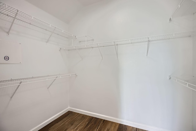 spacious closet featuring wood-type flooring