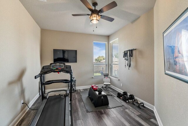 exercise room with ceiling fan, dark hardwood / wood-style flooring, and a textured ceiling