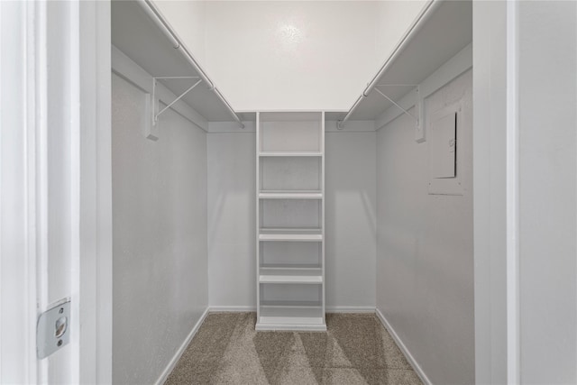 spacious closet featuring electric panel and carpet flooring