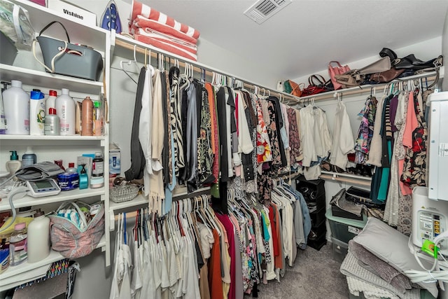 spacious closet featuring carpet flooring