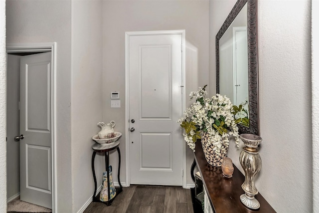 foyer featuring dark hardwood / wood-style flooring