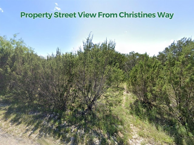 TBD Christines Way, Bluff Dale TX, 76433 land for sale